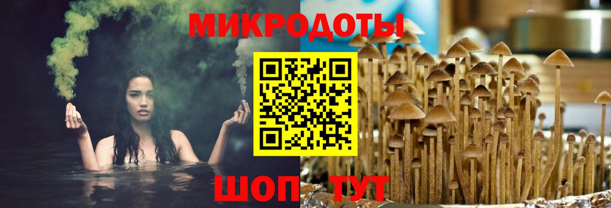 Саров  Псилоцибиновые грибы мицелий  Вход с VPN 